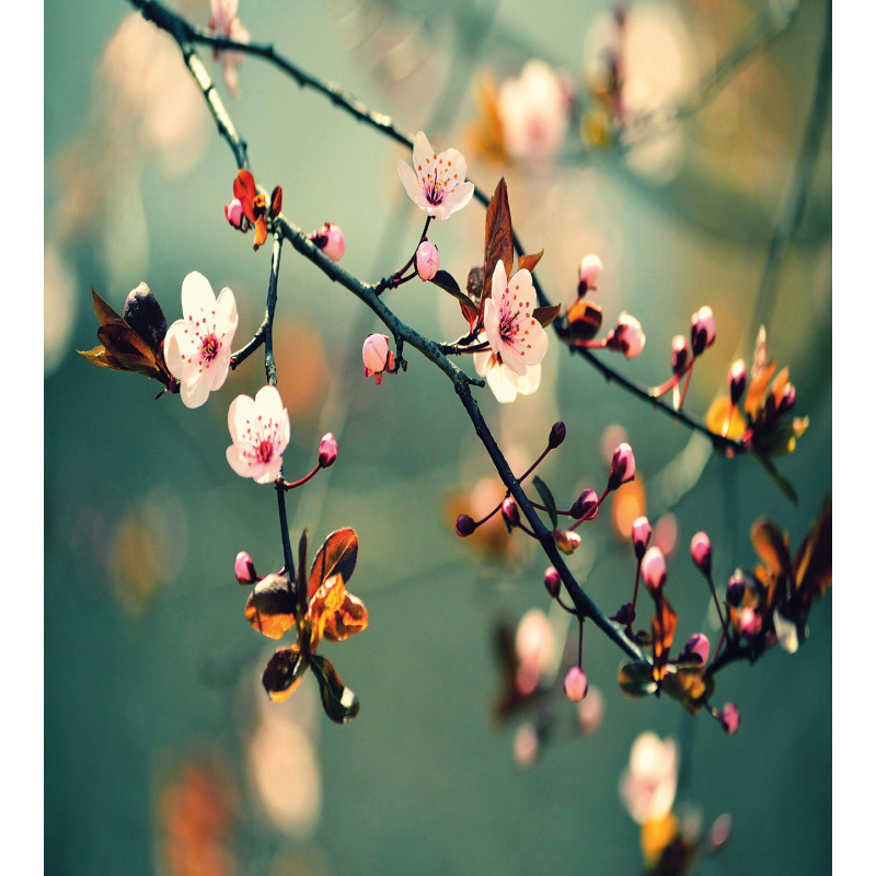 Pink Cherry Sakuras Duvet Cover Set