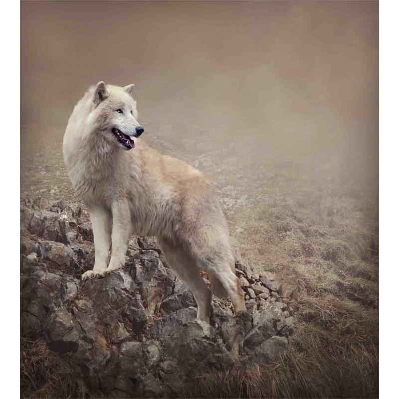 White Wolf on the Rocks Duvet Cover Set