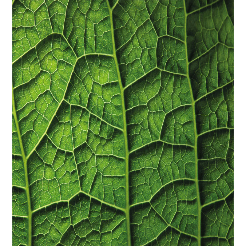 Forest Tree Leaf Texture Duvet Cover Set