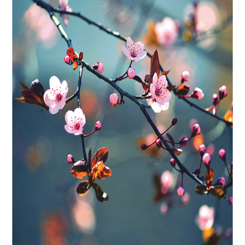 Blooming Sakura Flowers Duvet Cover Set