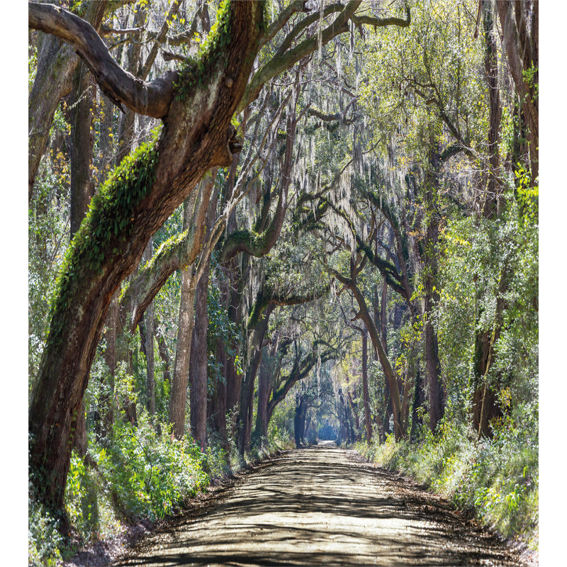 Road in Forest Carolina Duvet Cover Set