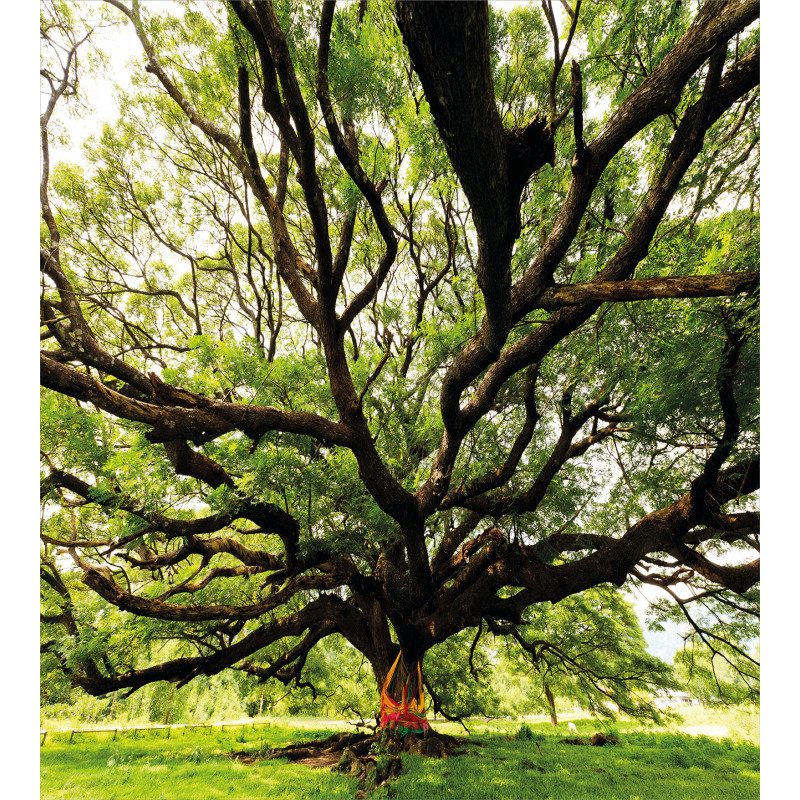 Majestic Tree Thailand Duvet Cover Set