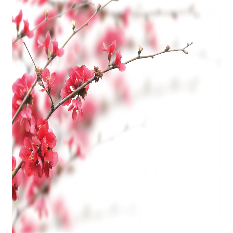Cherry Blossoms Misty Duvet Cover Set
