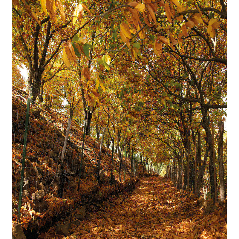 Autumn Foliage Forest Duvet Cover Set