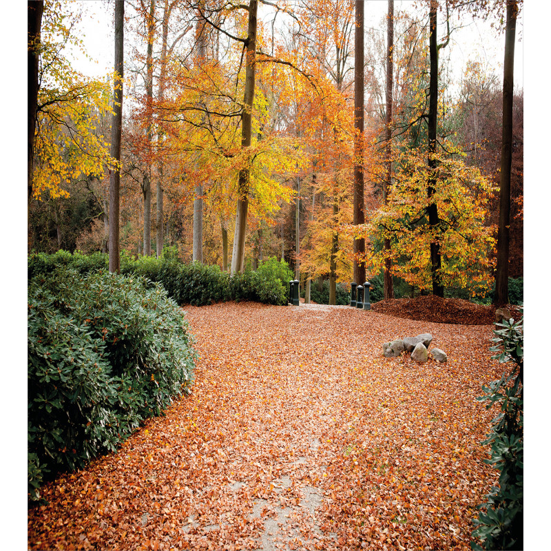 Autumn Forest Trees Fall Duvet Cover Set