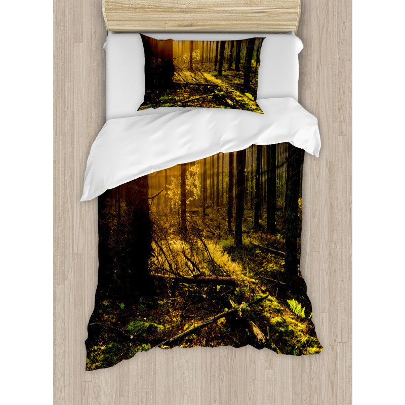 Misty Morning Sun Rays Duvet Cover Set