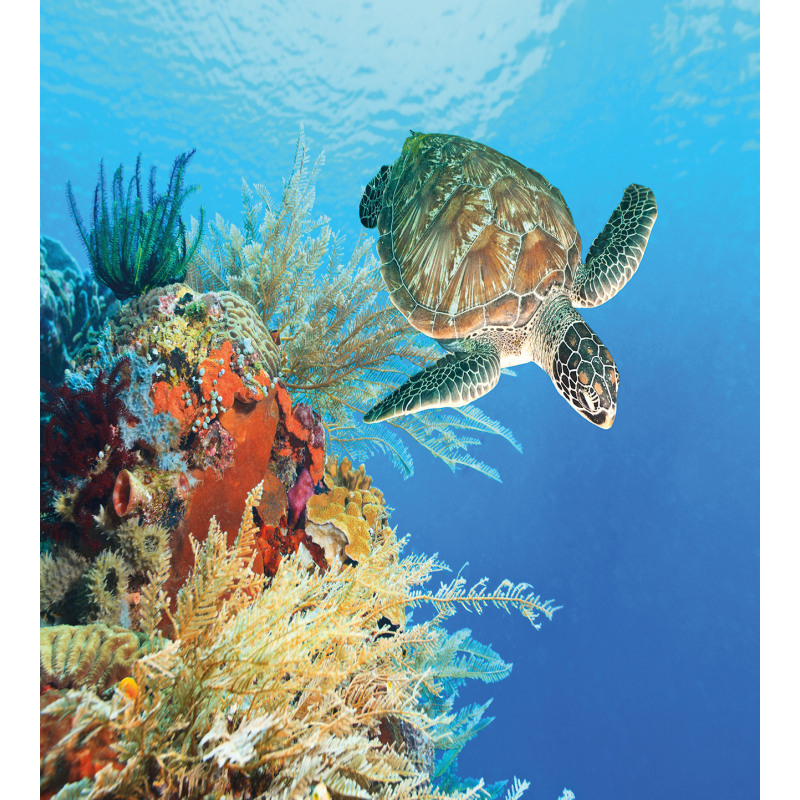 Exotic Turtle Coral Duvet Cover Set