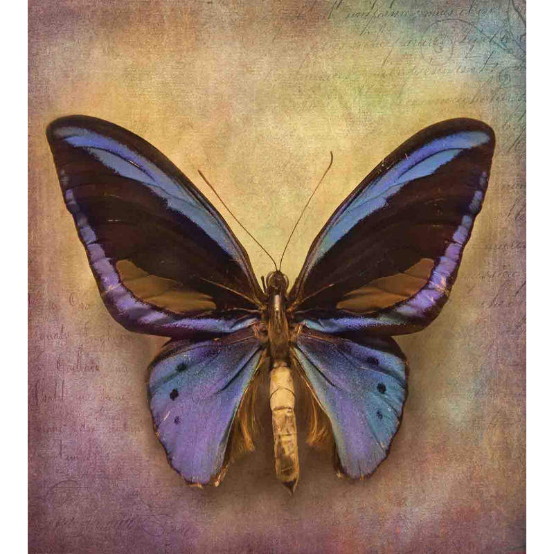 Monarch Butterfly Duvet Cover Set