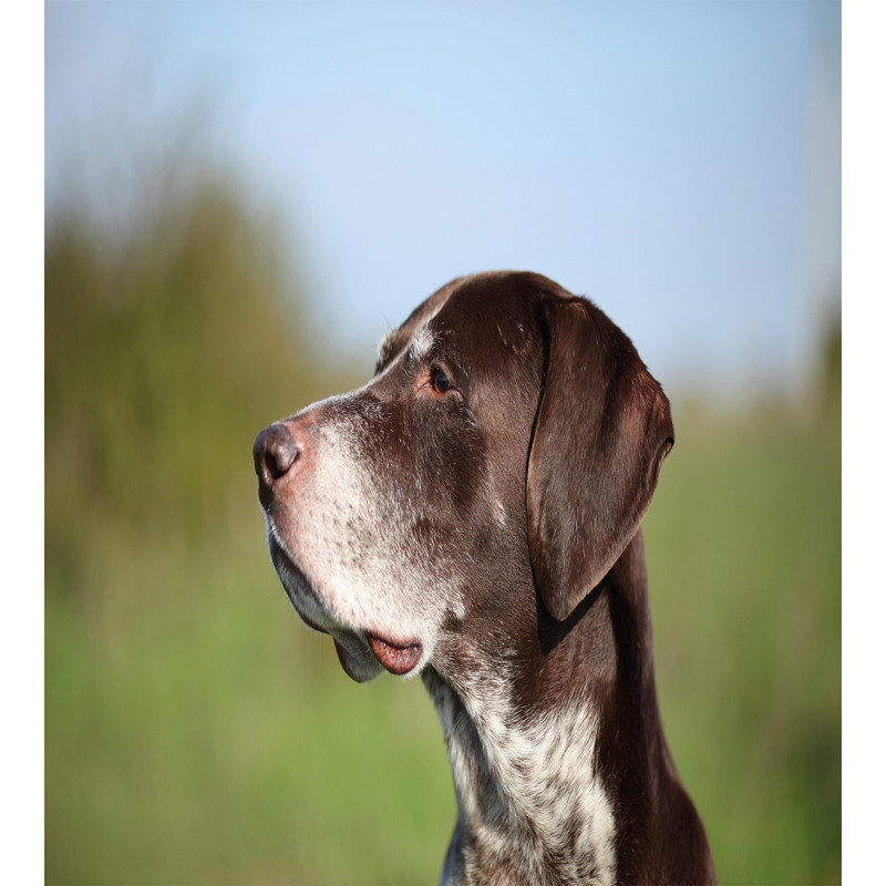 German Pointer Duvet Cover Set