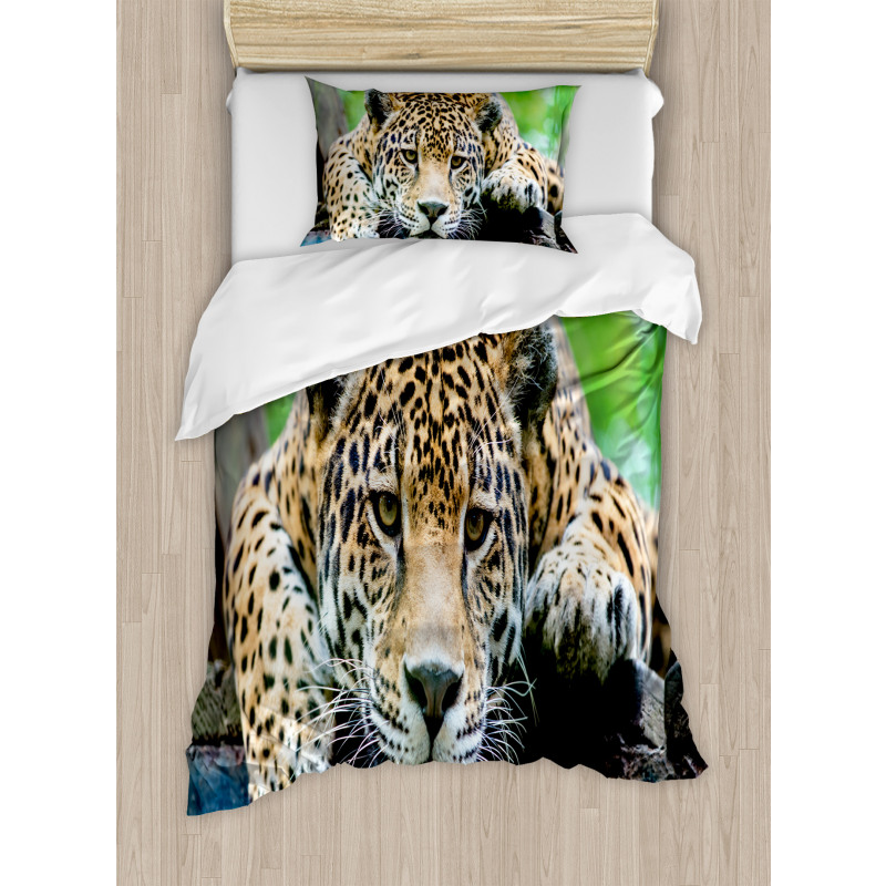 Jaguar Wildcat Feline Duvet Cover Set