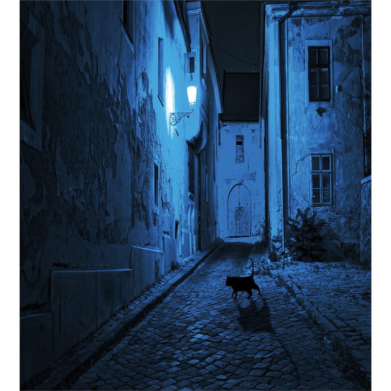 Black Cat Deserted Street Duvet Cover Set