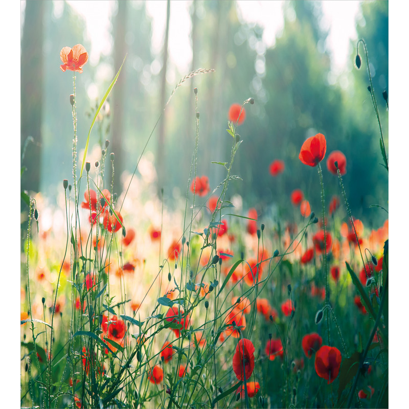 Wild Red Poppy Field Duvet Cover Set