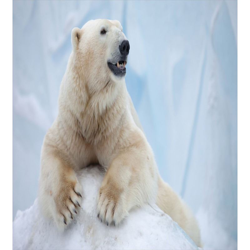 White Polar Bear on Ice Duvet Cover Set