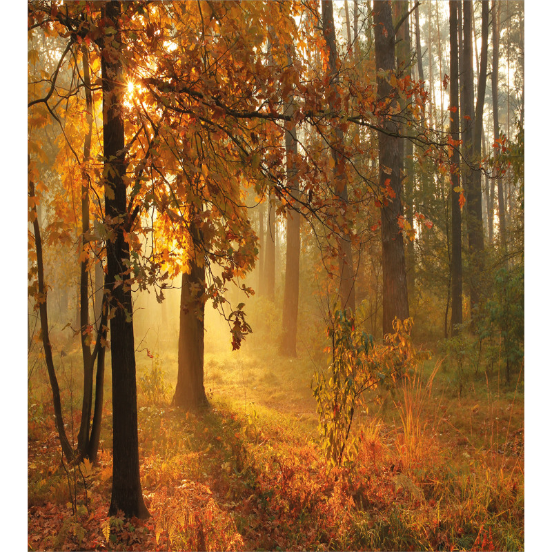 Misty Autumnal Forest Duvet Cover Set