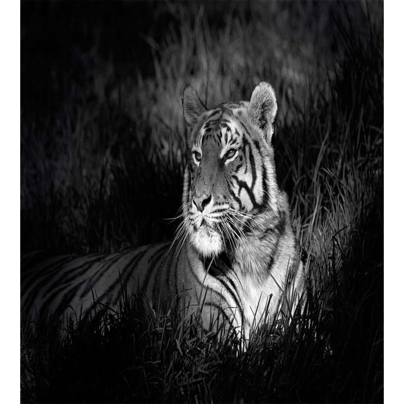 Bengal Tiger Duvet Cover Set