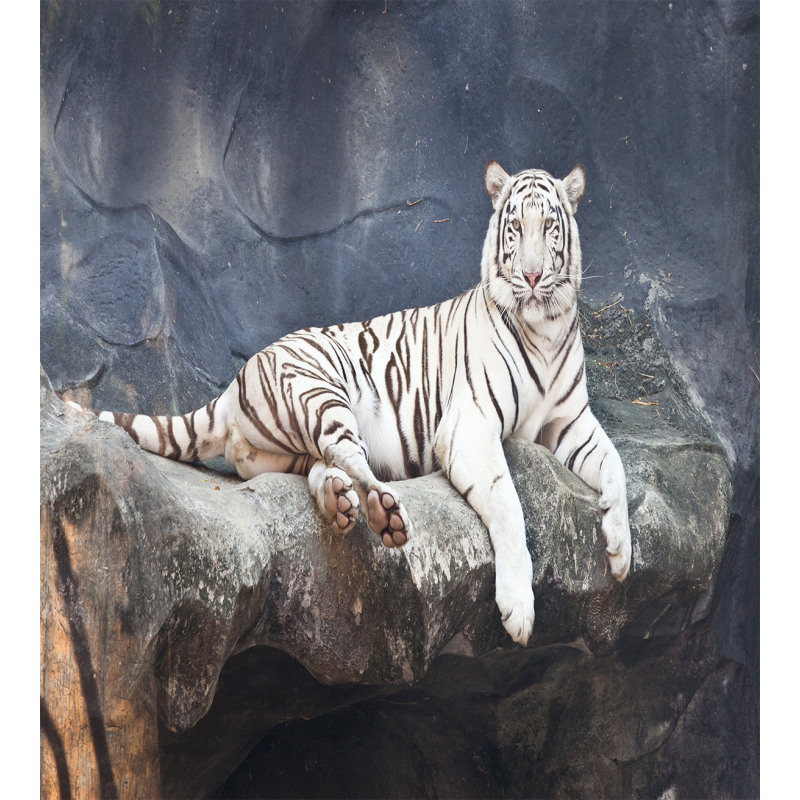 Wildlife Cat on the Rock Duvet Cover Set