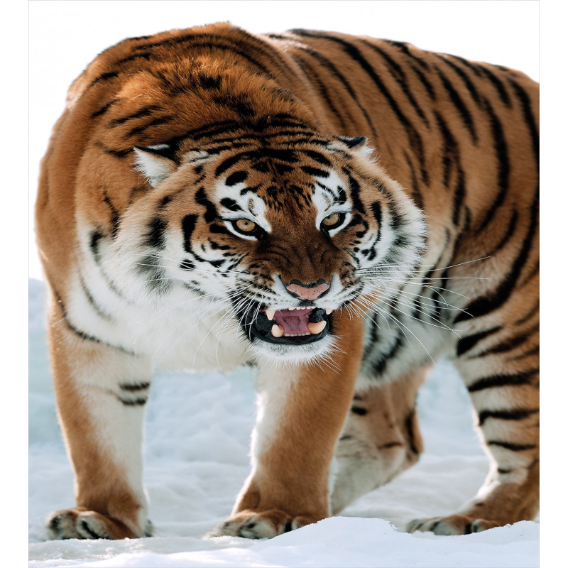 Siberian Predator Feline Duvet Cover Set