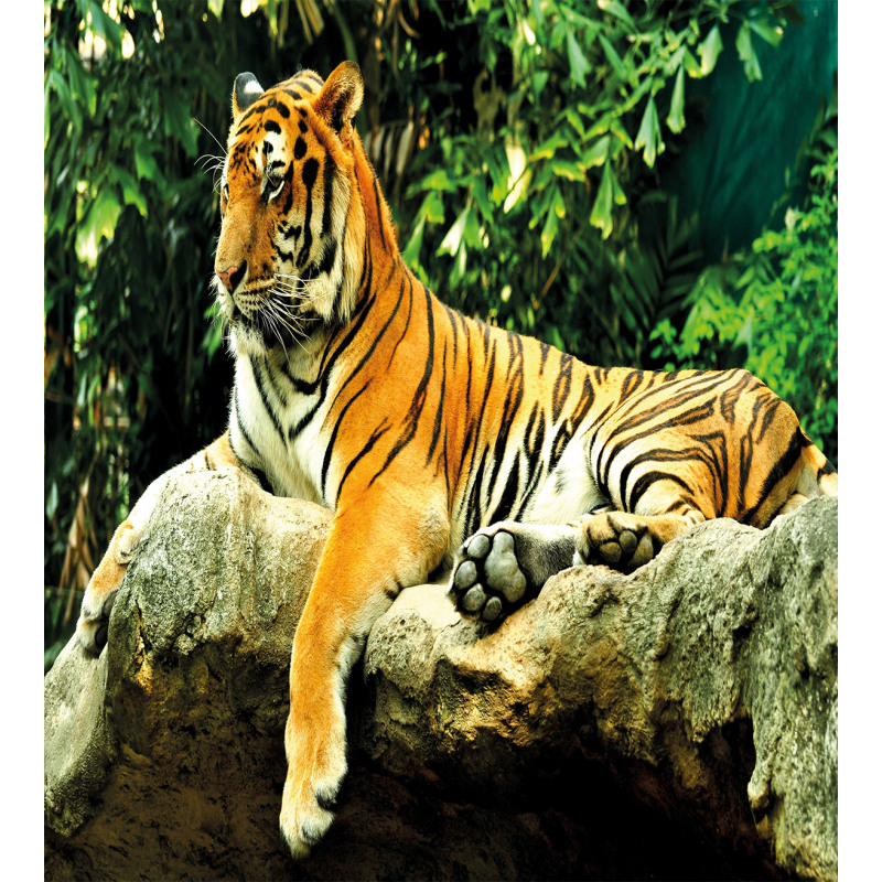 Big Cat Resting in Forest Duvet Cover Set