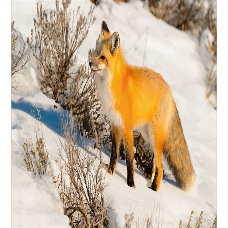 Red Fox in Snowy Nature Duvet Cover Set
