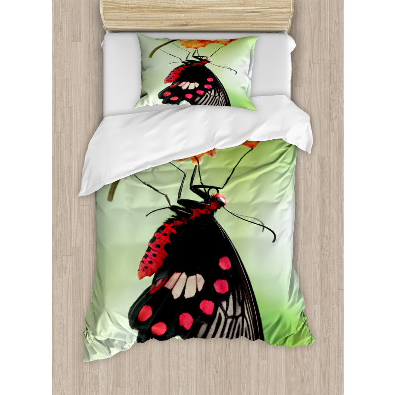 Open Cocoon Duvet Cover Set