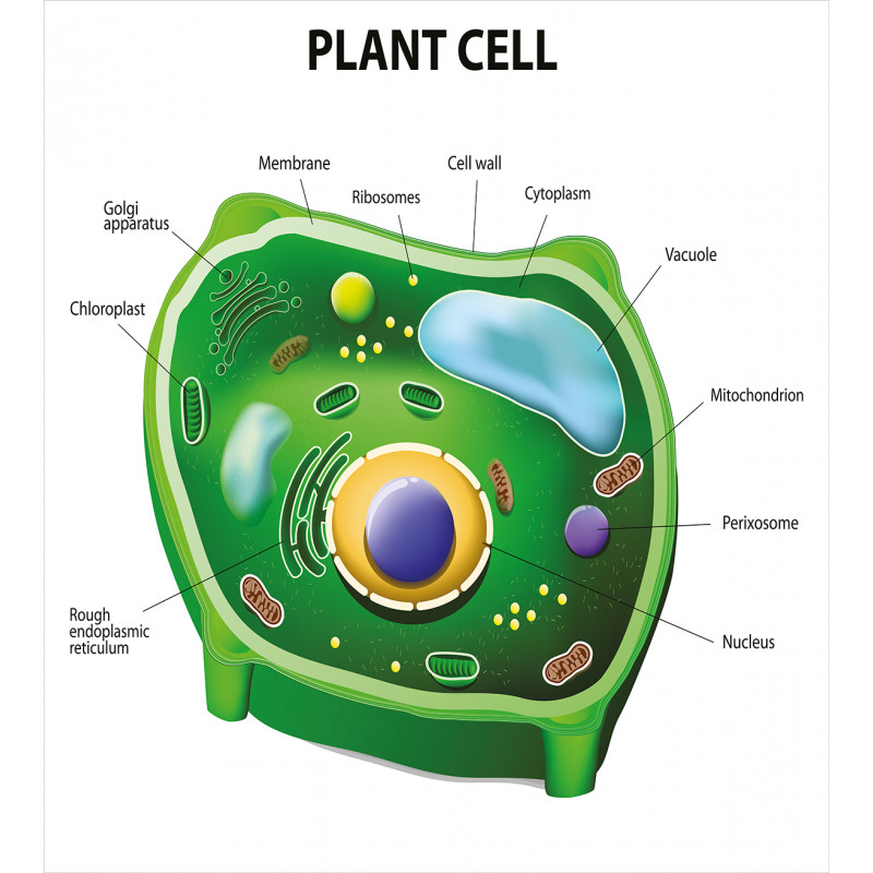 Cell Biology Plant Duvet Cover Set