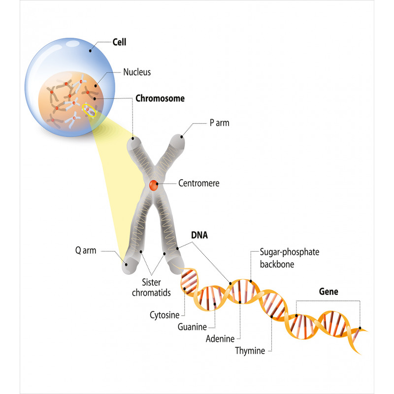 DNA Gene Genome Duvet Cover Set