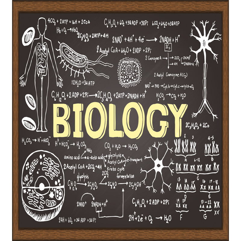 Biology Duvet Cover Set