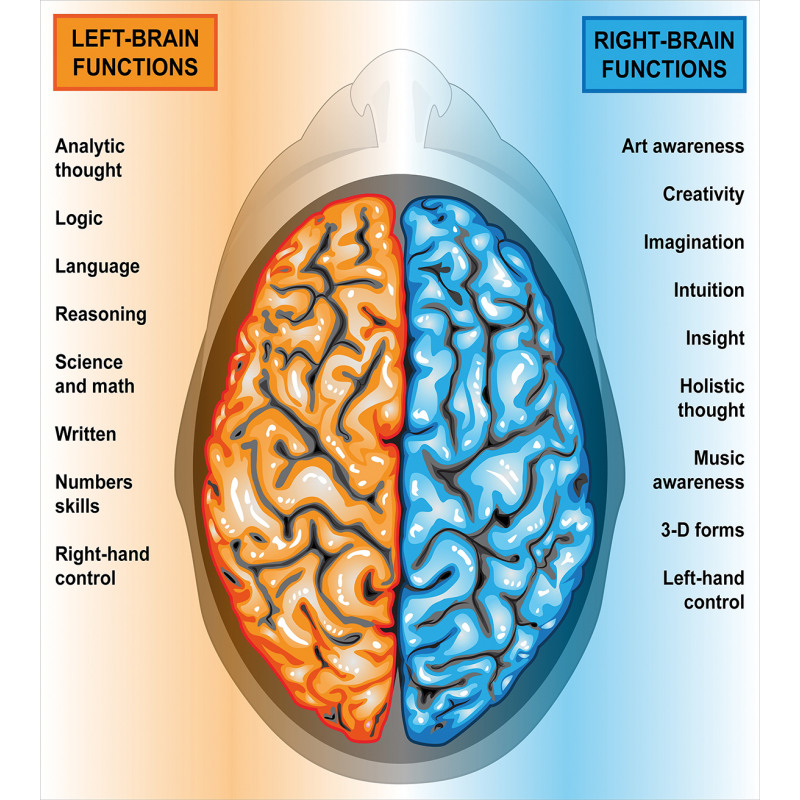 Left Right Brain Duvet Cover Set