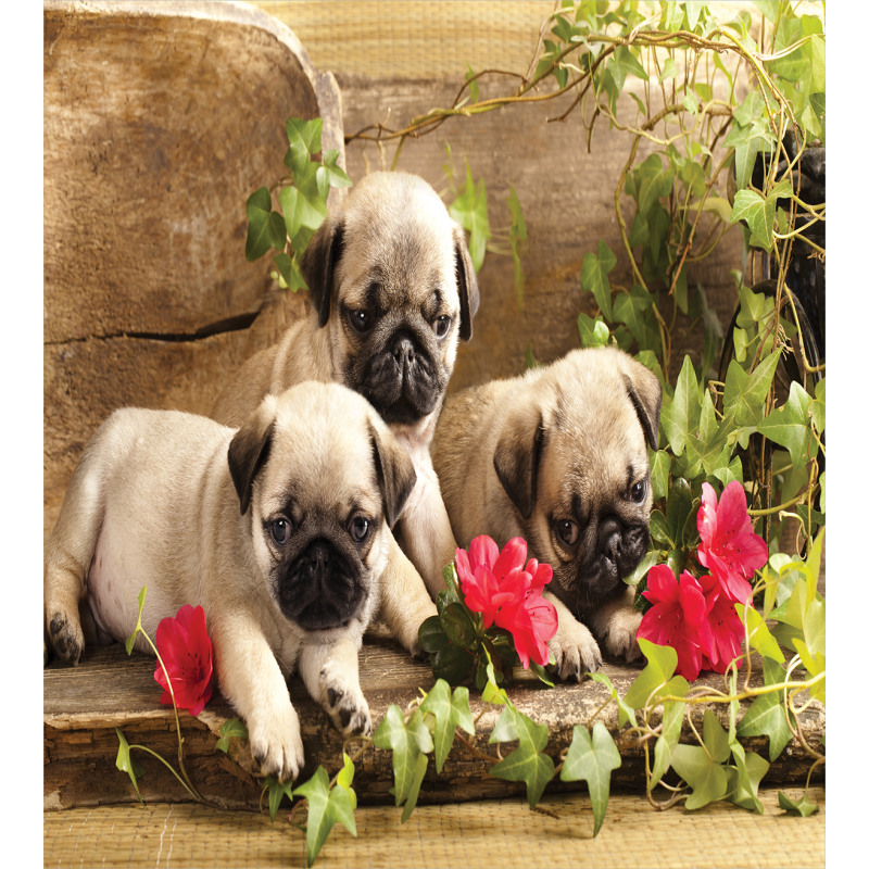 Sibling Puppies Flowers Duvet Cover Set