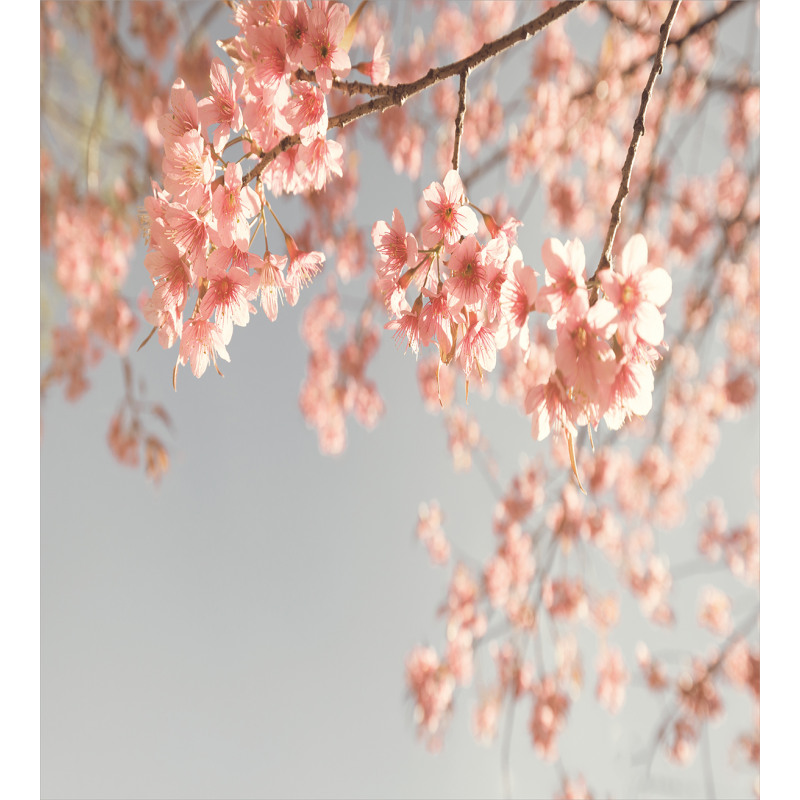 Scenery Sakura Trees Duvet Cover Set