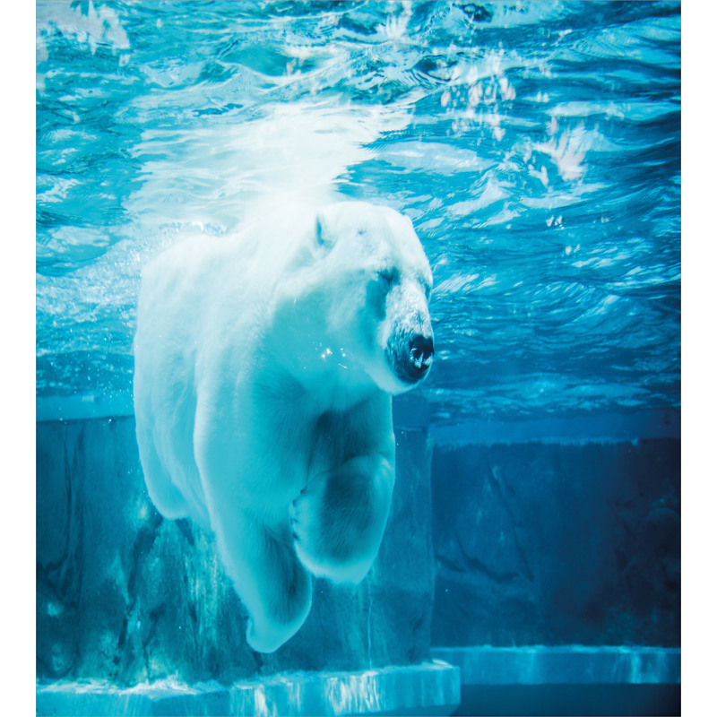 Arctic Polar Underwater Duvet Cover Set