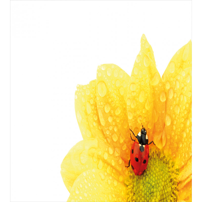 Ladybug Duvet Cover Set