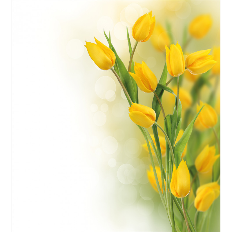 Romantic Tulips Duvet Cover Set