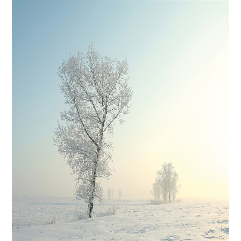 Frozen Tree Morning Sun Duvet Cover Set