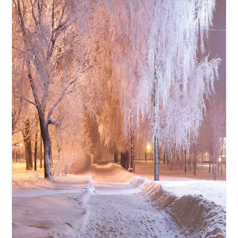 Night Scene Frozen Trees Duvet Cover Set