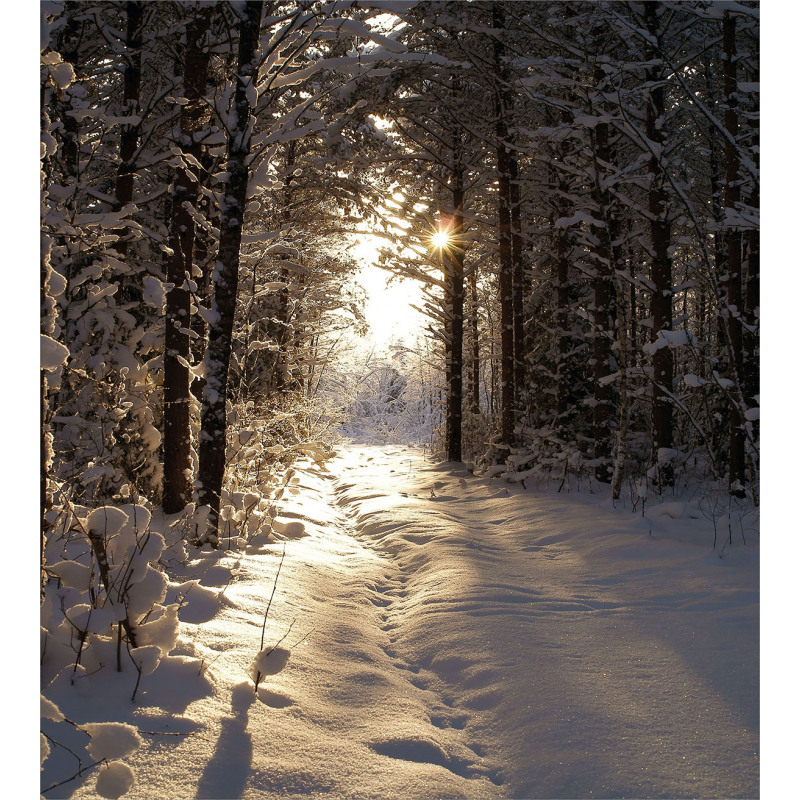 Christmas Snow Forest Duvet Cover Set