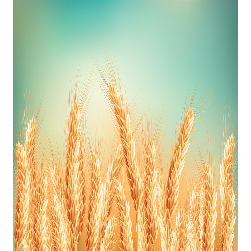 Wheat Field Blue Sky Duvet Cover Set