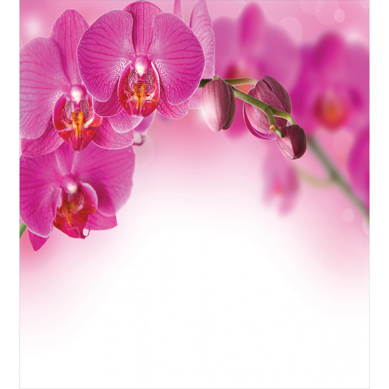 Exotic Orchid Feng Shui Duvet Cover Set