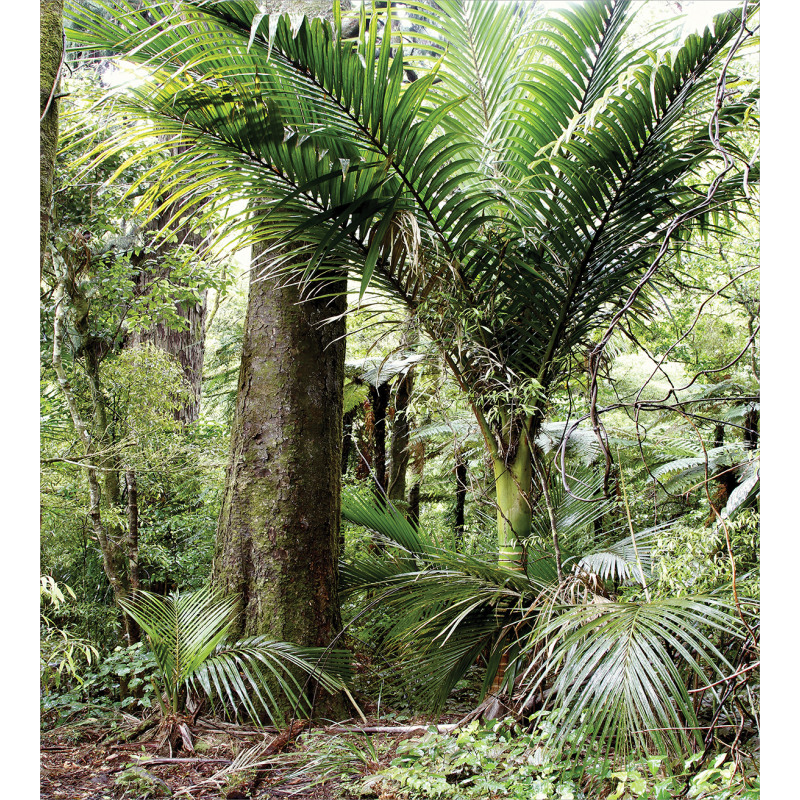 Lush Foliage Jungle Duvet Cover Set