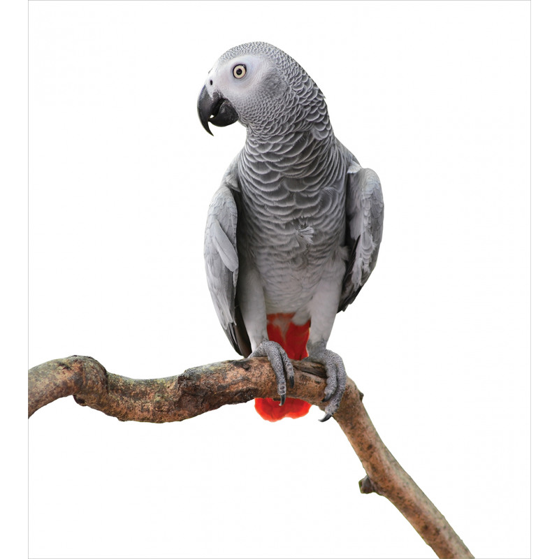Parrot on a Branch Duvet Cover Set