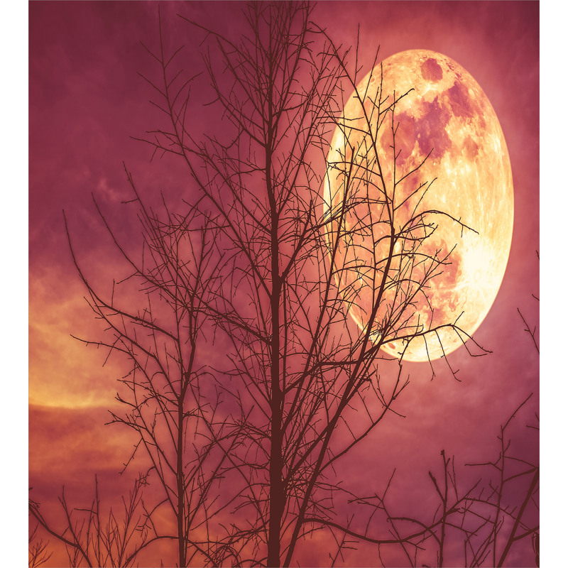 Moon Sky Dead Tree Duvet Cover Set