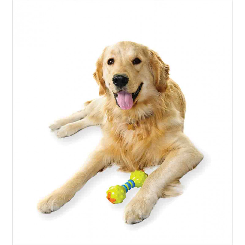 Pet Dog Toy Duvet Cover Set