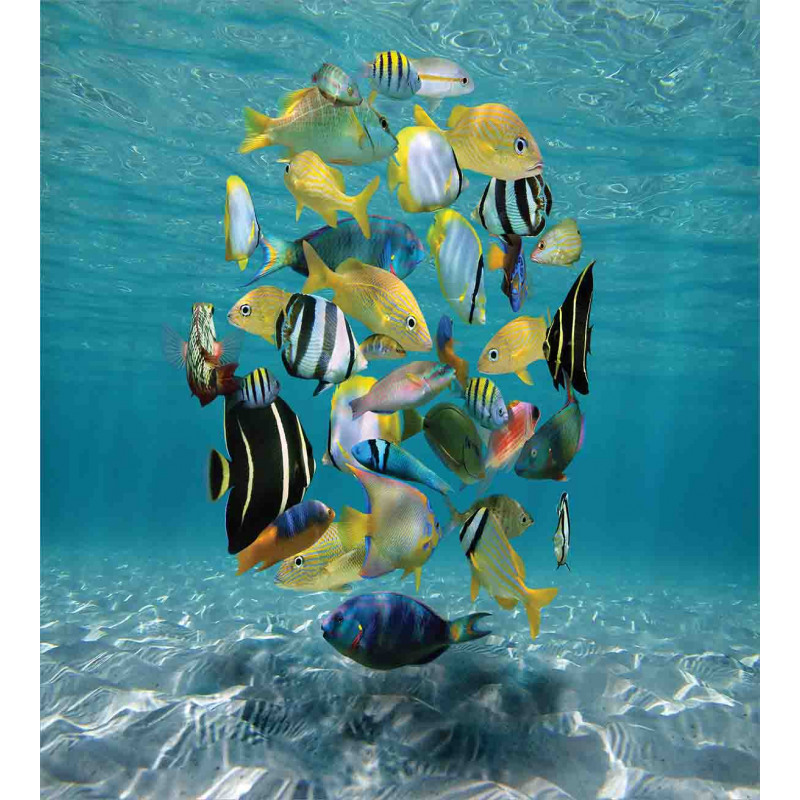 Shoal of Fish Underwater Duvet Cover Set