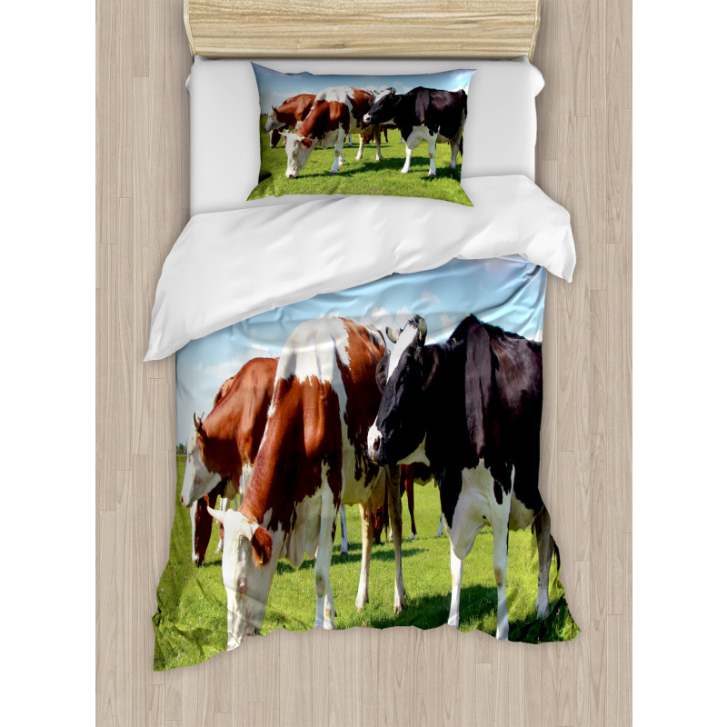 Cows Grazing on Pasture Duvet Cover Set