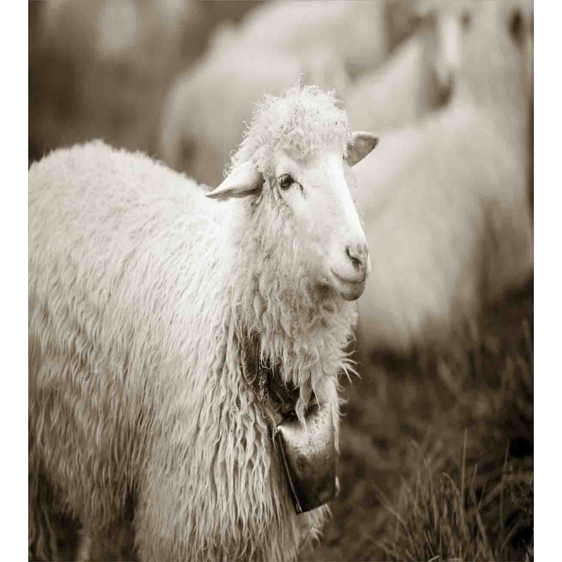 Fluffy Wooly Sheep Herd Duvet Cover Set
