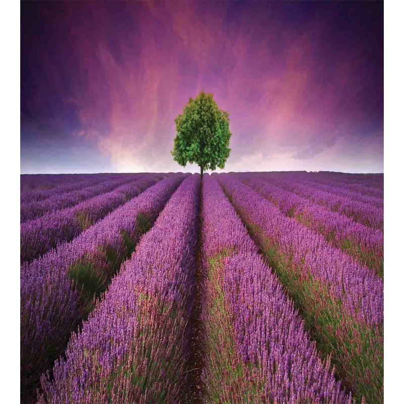 Lavender Fields and Tree Duvet Cover Set