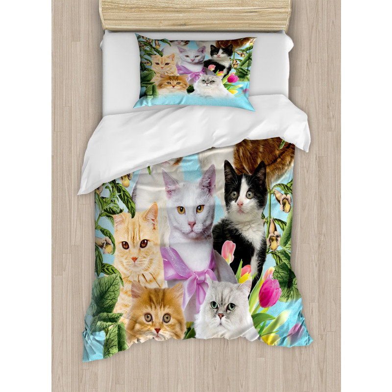 Cats Feline Domestic Duvet Cover Set