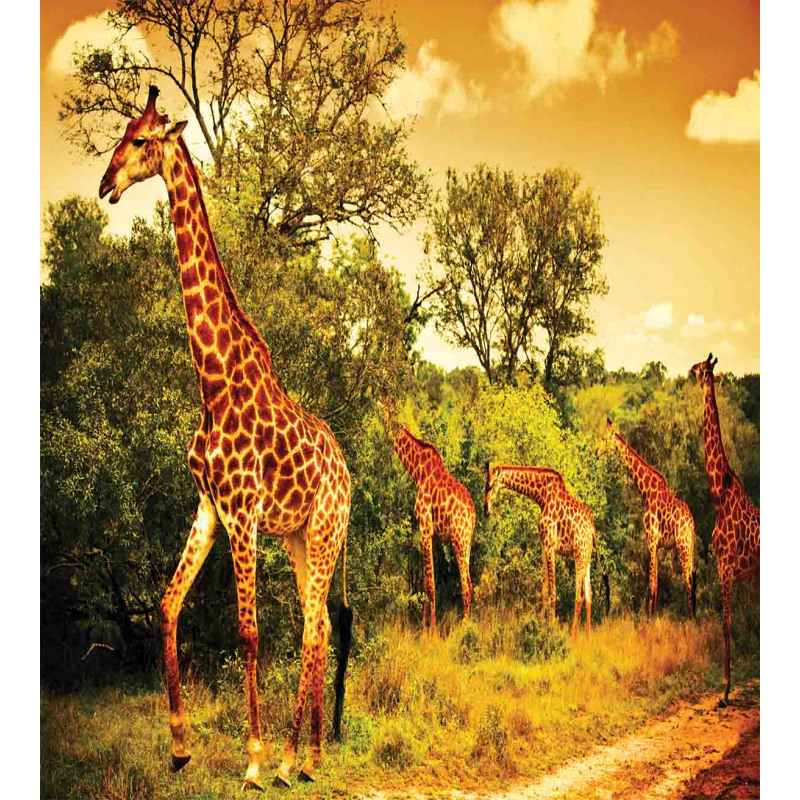 Safari Animals Duvet Cover Set