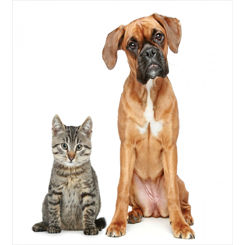 Cat Dog Animal Friends Duvet Cover Set