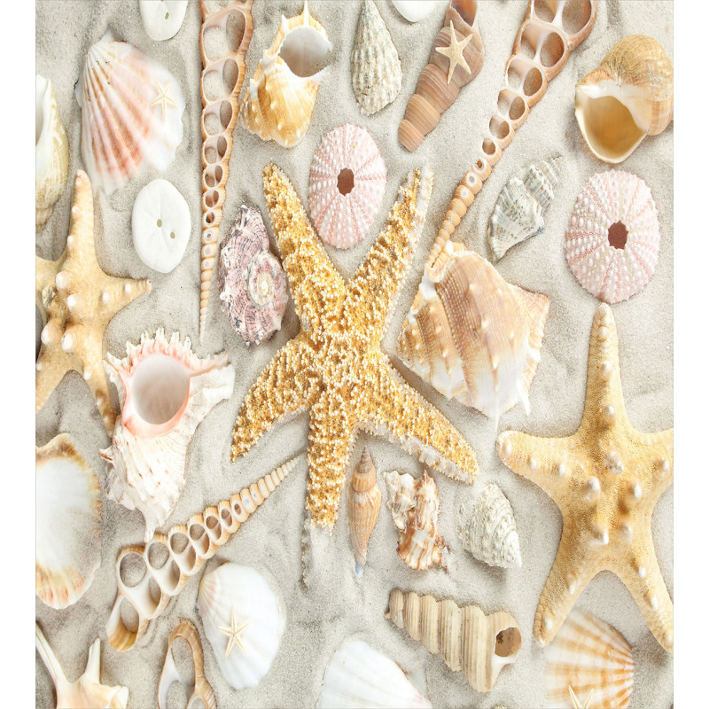Assorted Seashells Sand Beach Duvet Cover Set